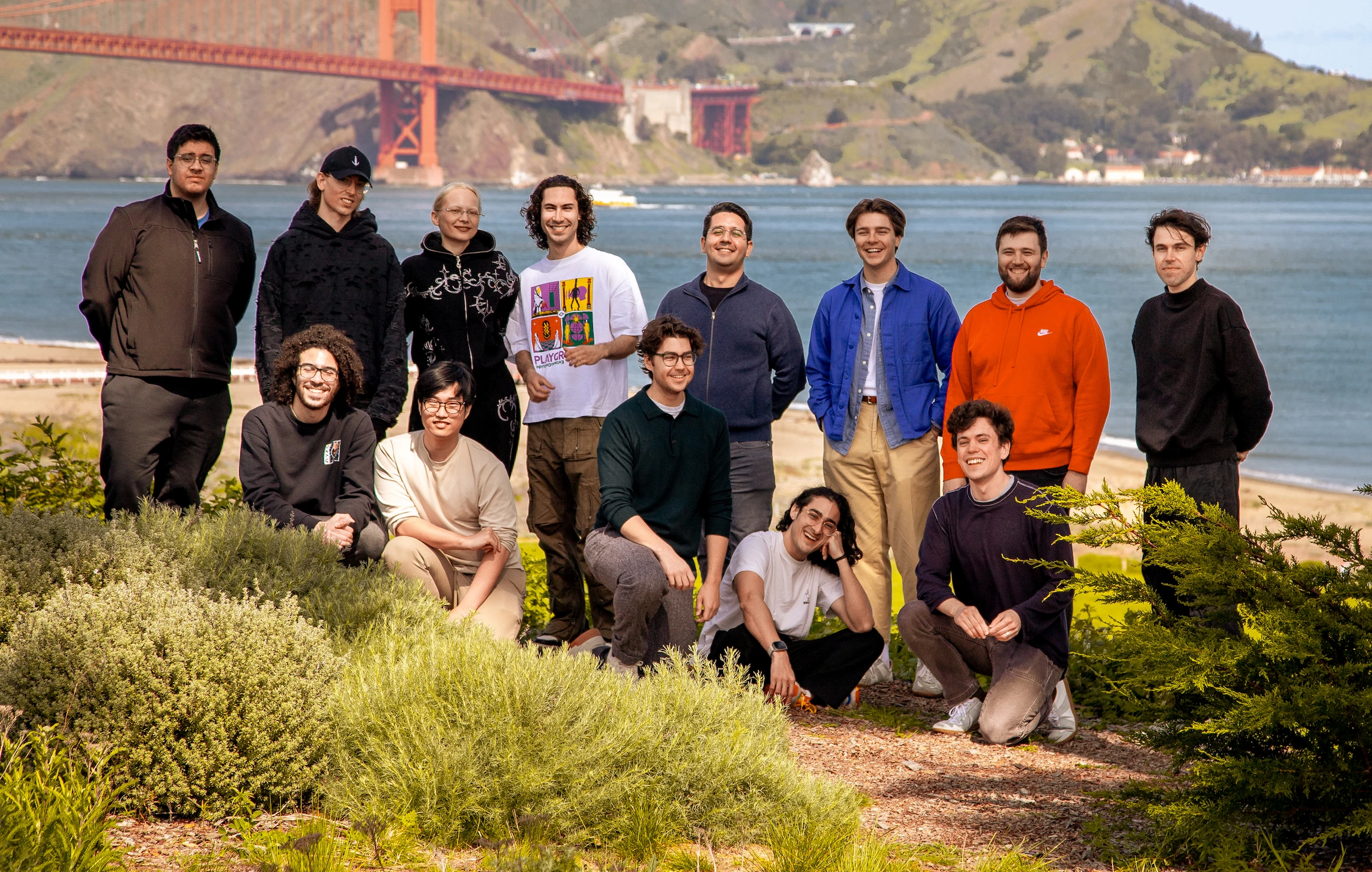 A lush sunlit patch of grass full of flowers in a dense forest