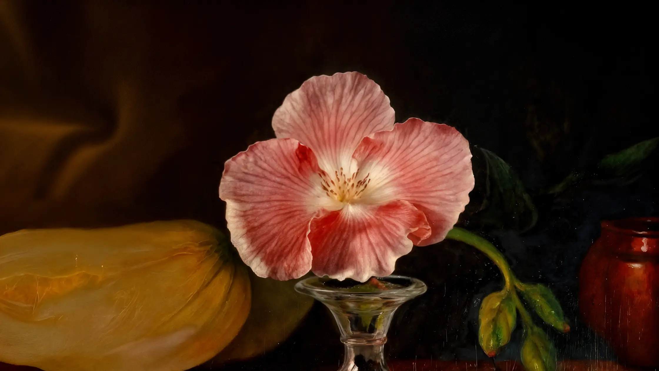 A pixelated image of an orange and white cat lying down, looking to the side, with blurred greenery in the background